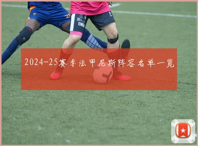 2024-25赛季法甲尼斯阵容名单一览