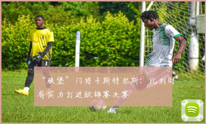 “狼堡”门将卡斯特尔斯：比利时有实力打进欧锦赛决赛